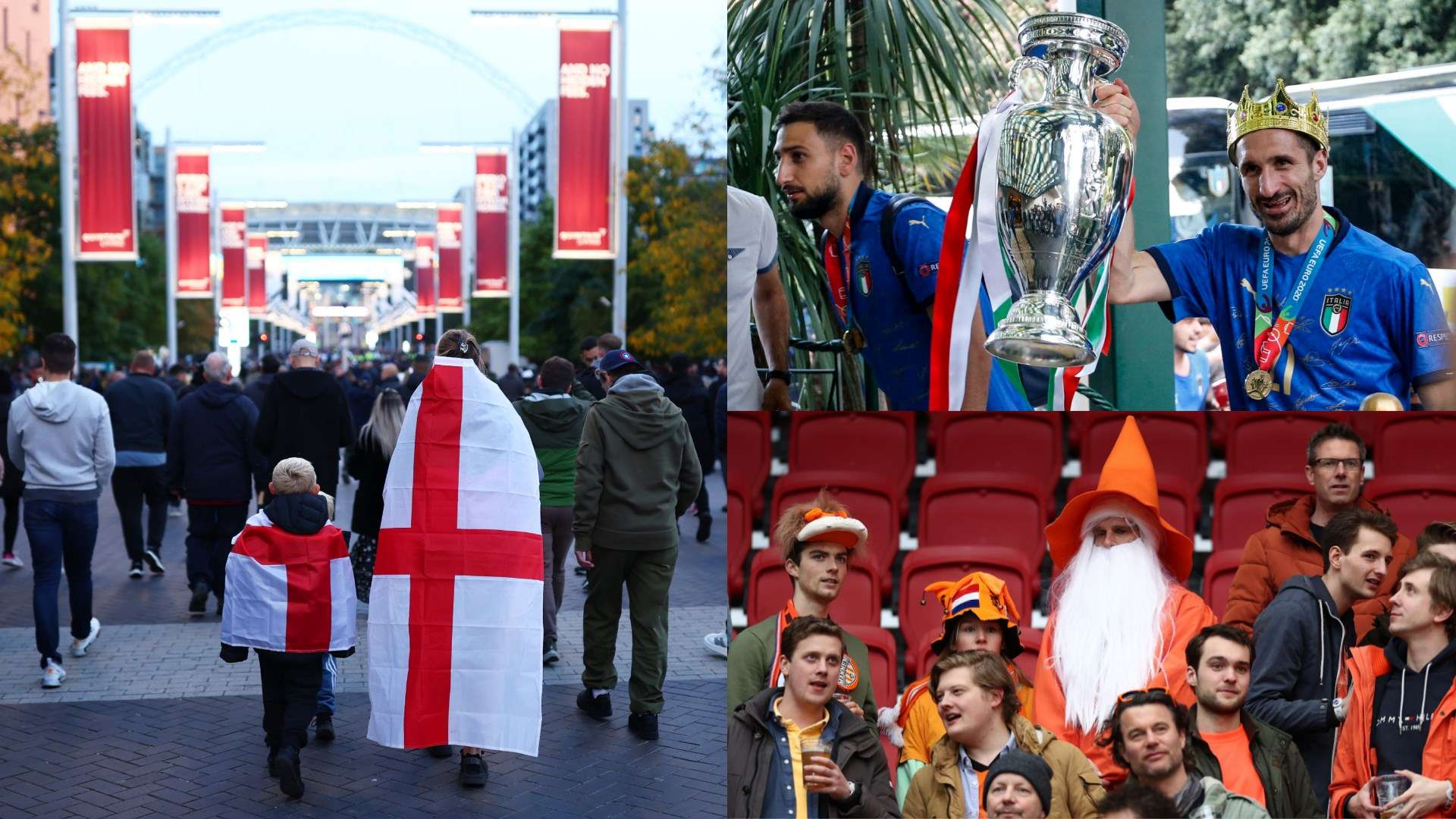 指的是在青 指的是在青